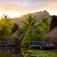 Maitai Lapita Huahine 