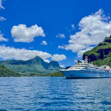 Star breeze  in the lagoon of Moorea