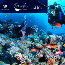 Diving Tikehau