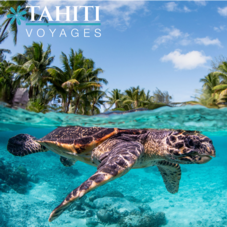The Westin Bora Bora Resort & Spa Eco Centre