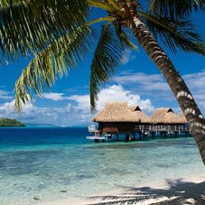 Maitai Polynesia