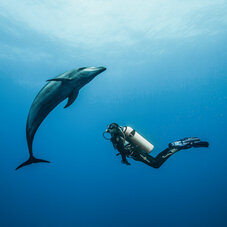Air Tahiti Nui dauphin diving BThouard