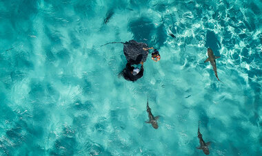 Spacifica Travel Windstar Cruises Cruise Bora Bora