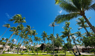 Kia Ora Resort & Spa Rangiroa Coconut grove Reception area