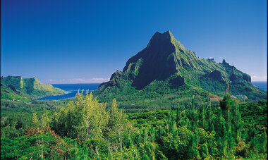 Spacifica Travel Manava Beach Resort and Spa Moorea Moorea Island