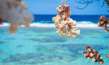 Lagoon of Huahine