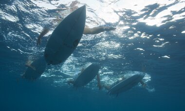 Surfeurs Surfeurs sur leurs planches de surfs