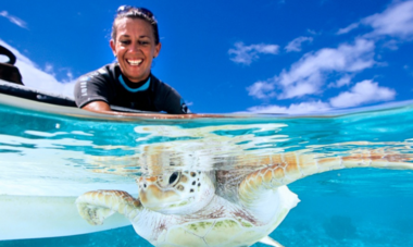 tortue relachee à l'ocean par l'association Te Mana O te Moana