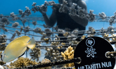 coral gardeners Noe Langronier