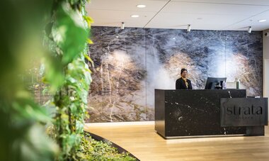 Strata Lounge NZ Strata Lounge