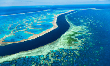 Great barrier reef whitsundays Queensland Australie