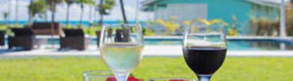 Spacifica Travel Raiatea Lodge Spacifica Travel Raiatea Lodge