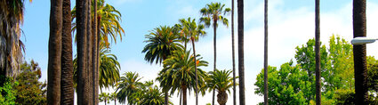 Air Tahiti Nui USA Los Angeles