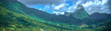 Landscape MOZ