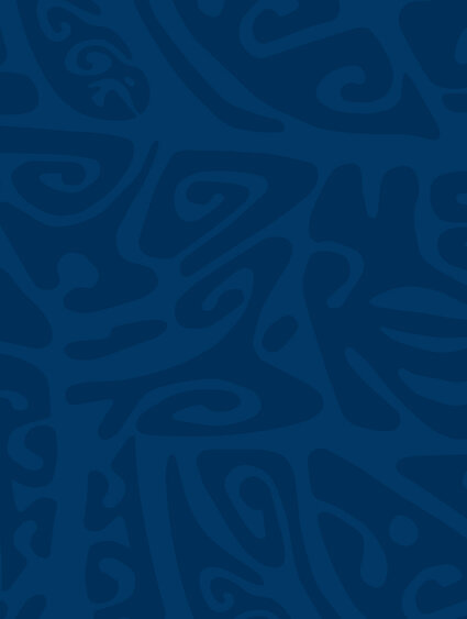 banner-_0000_livery-med-dblue_dblue-mul20.jpg Banner-dblue