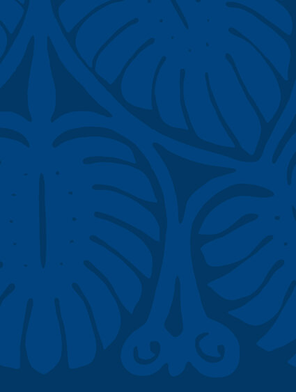 banner-_0004_flora-med-dblue_midblue-30.jpg Banner-dblue