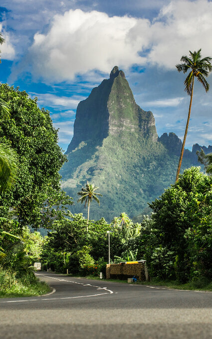 Air Tahiti Nui Mountain Veerdonk